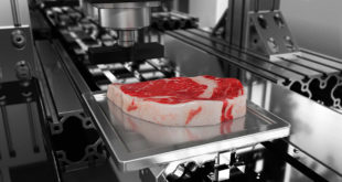 viande imprimée en 3D
