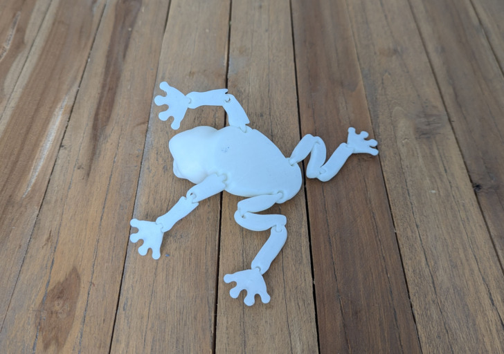 FLSun S1 Flexi Frog 002